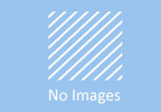 抗車轍劑的詳細介紹